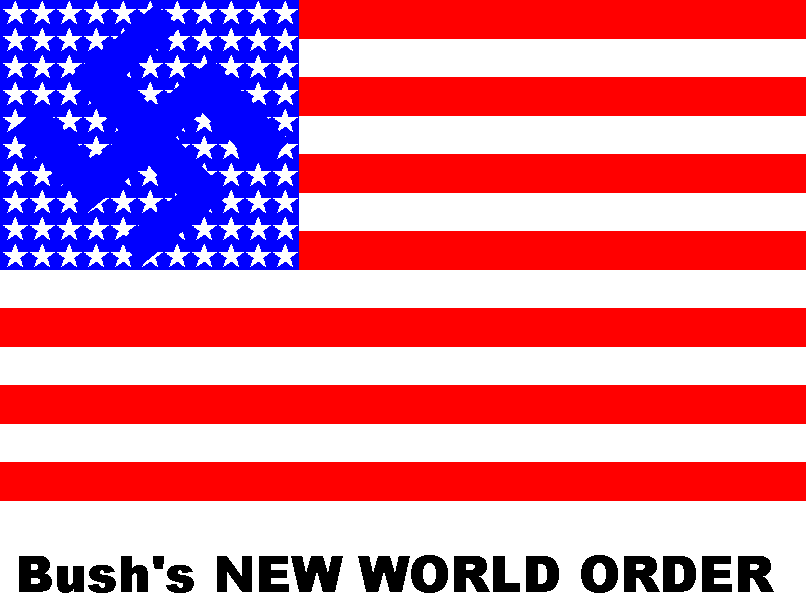 new world order flag